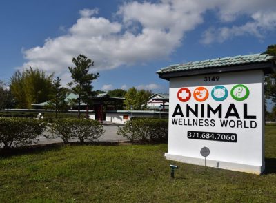 Animal Wellness Center Is Open