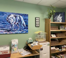 Check Out the Vet Med Art Gallery