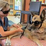 Companion Laser Therapy