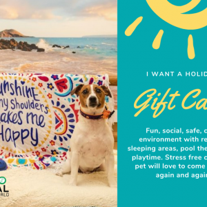 Animal Wellness Gift Cards