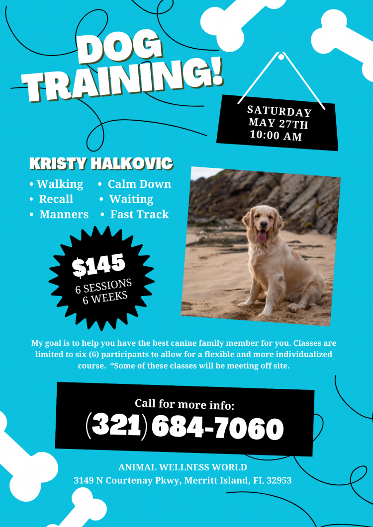 New Dog Training Classes