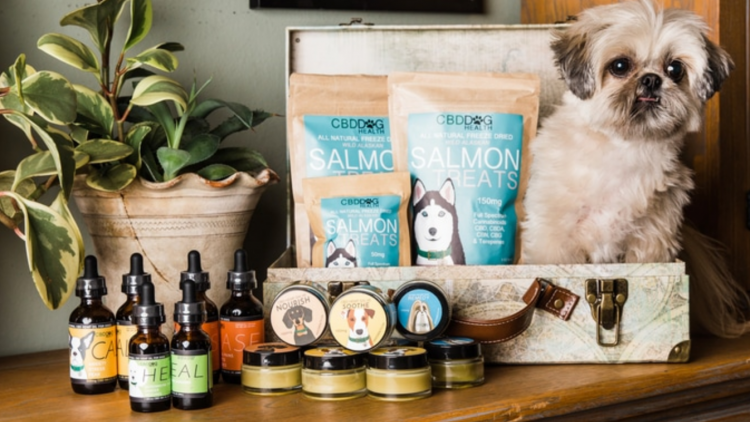 Is CBD for Dogs, Cats and Horses Safe?