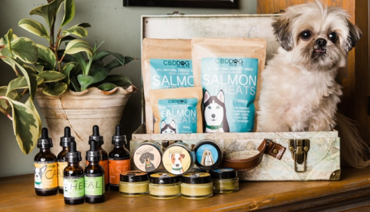 Is CBD for Dogs, Cats and Horses Safe?