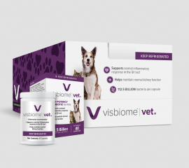 Does Your Pet Have Gastrointestinal Issues?
