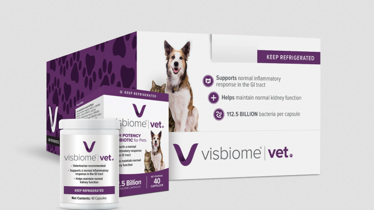 Does Your Pet Have Gastrointestinal Issues?