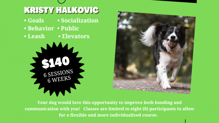 New Fall Dog Obedience Training Classes