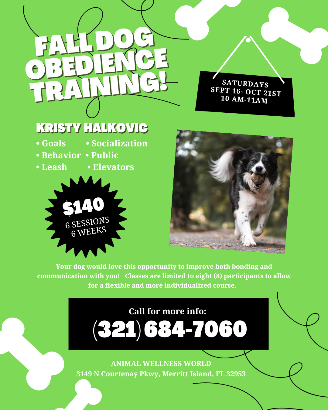 New Fall Dog Obedience Training Classes