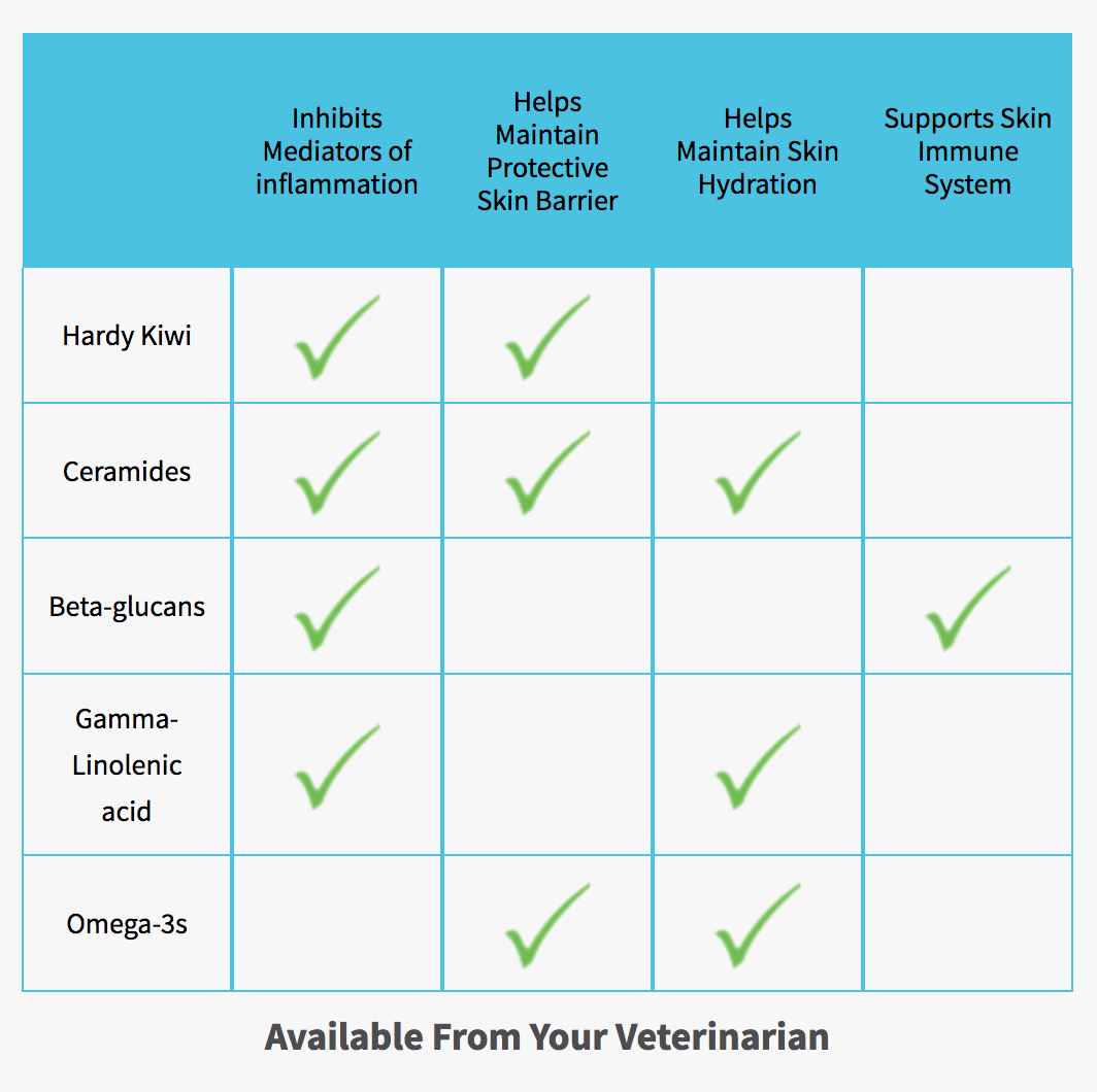 dermaquin ingredietns