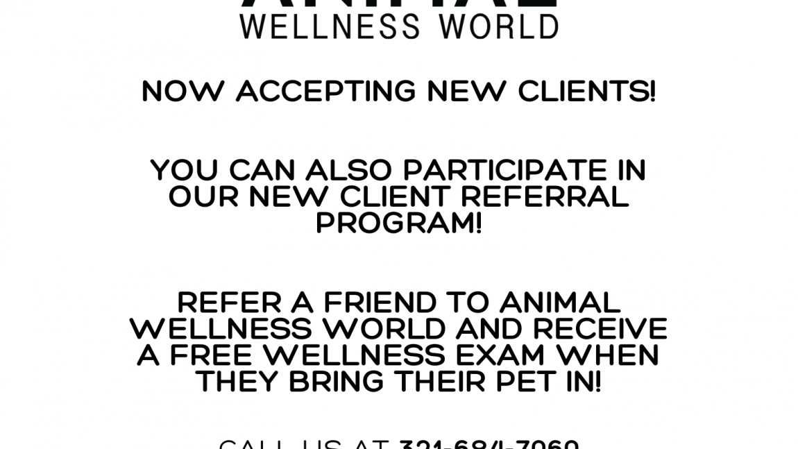 New Client Referral Program