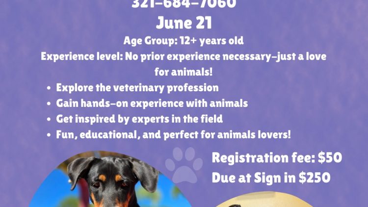 Vet Camp