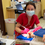 Vet working on a small dog
